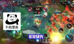 王者航天爆料视频大全,揭秘视频大全中的航天奥秘与科技风采